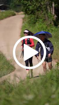 BIB:  <button type="button" onclick="openModal(26787465)" class="btn btn-primary btn-sm float-right" data-toggle="modal" data-target=".modal-high-quality">
                <i class="fa fa-download"></i> Download
                </button>